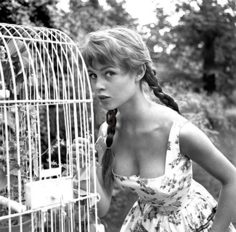Brigitte bardot mpris