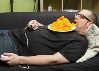 Лень – двигатель прогресса, 50 забавных фото