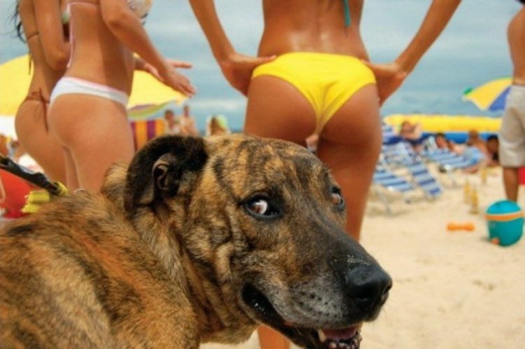 The Funniest Pics from a Beach Relaxation