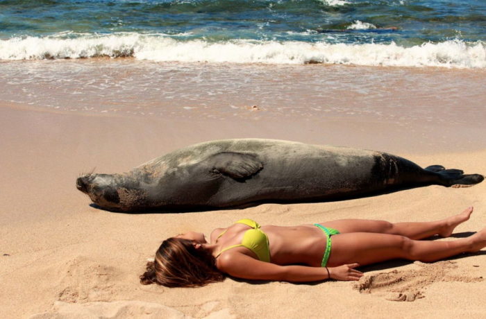 The Funniest Pics from a Beach Relaxation