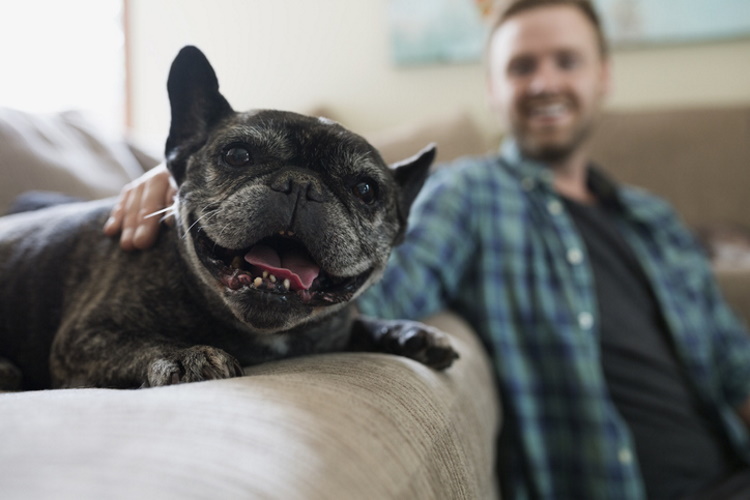 The Funniest Photos of Smiling Animals