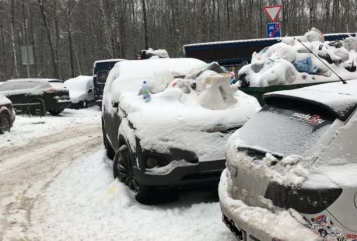 "Олени" на автомобильной парковке: 45 удачных примеров