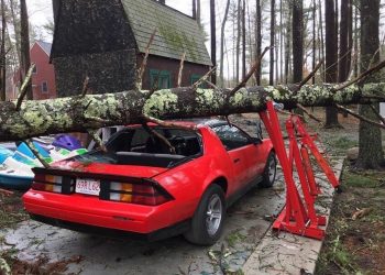 Фотографии, на которых кому-то очень сильно повезло