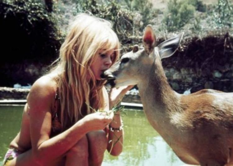 Брижит Бардо_Brigitte Bardot__samyye krasivyye foto