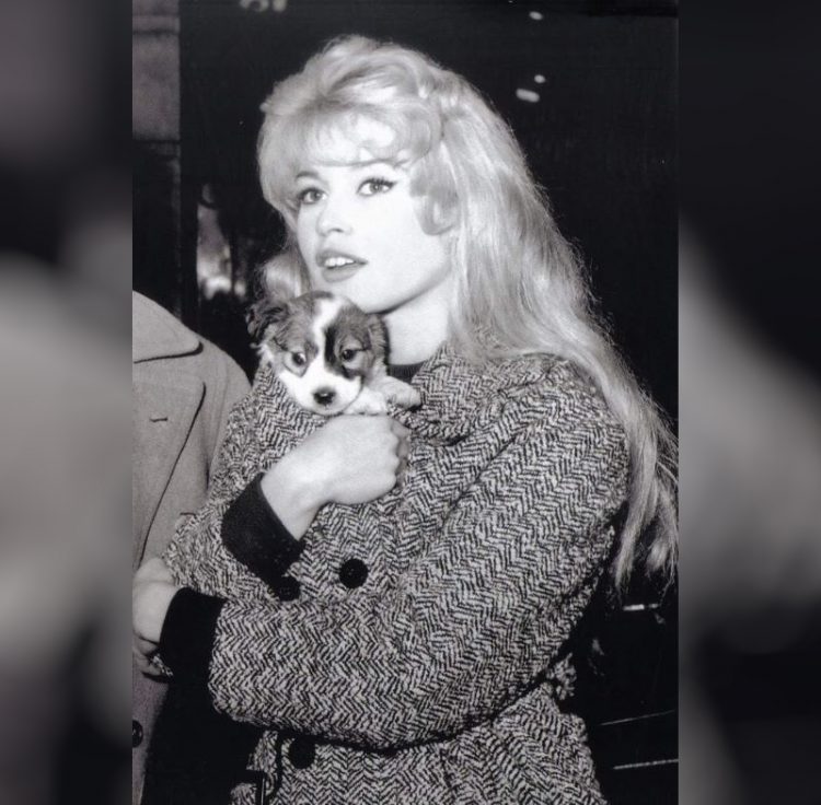 Брижит Бардо_Brigitte Bardot__samyye krasivyye foto