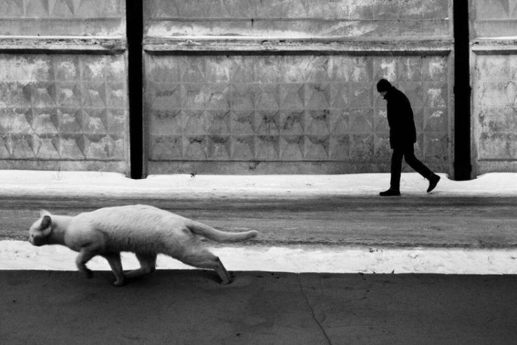 cherno belyye foto volshebstvo fotografii