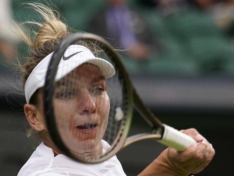 Game, Set, Giggles: A Collection of Funny Moments in Women's Tennis