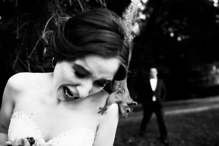 Joyful Nuptials: Candid and Comical Wedding Photo Selection