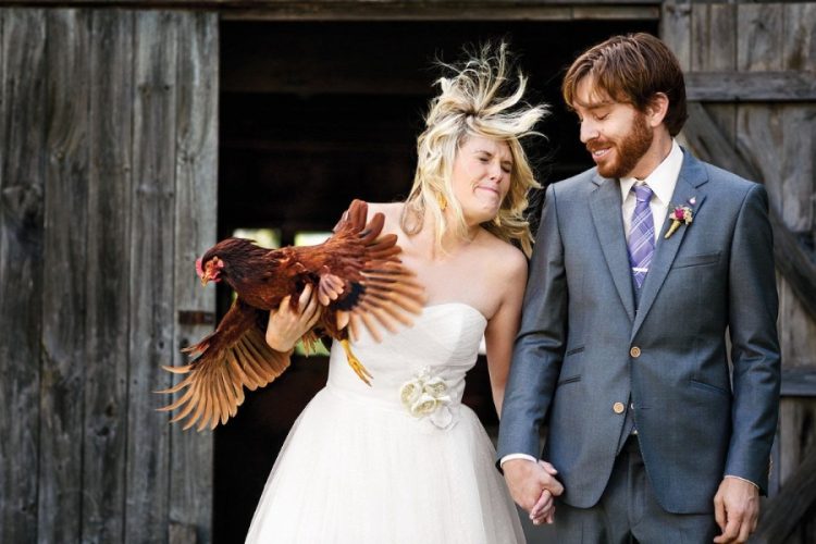 Joyful Nuptials: Candid and Comical Wedding Photo Selection