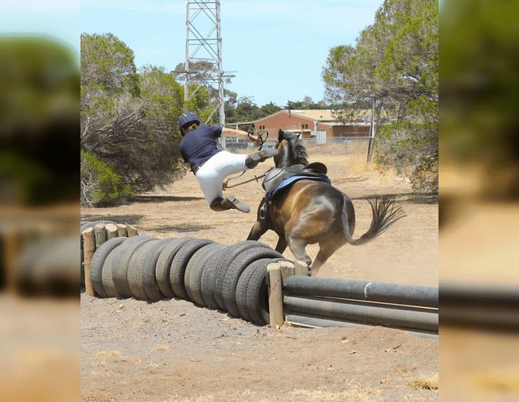 The Precarious Pause: Funny Moments Caught Just Before Disaster