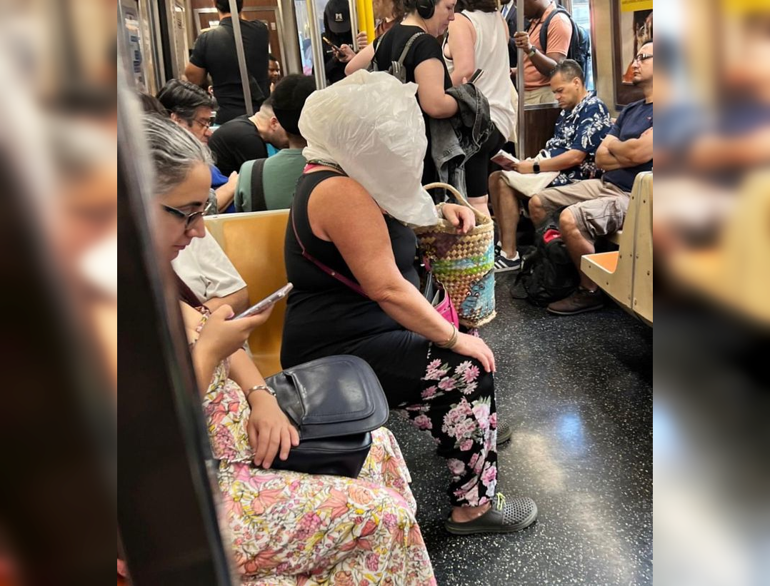 Subway Surprises: Odd and Funny Encounters on the Train