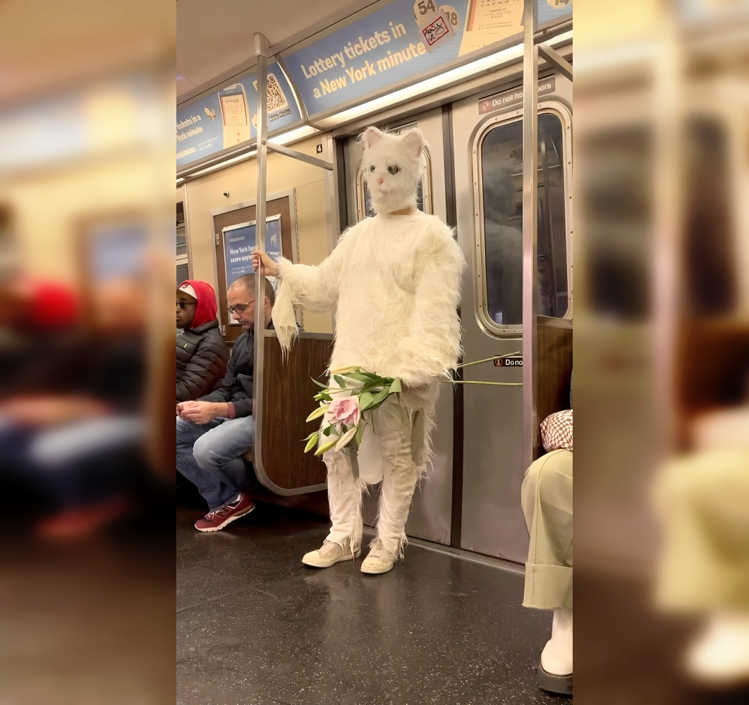 Subway Surprises: Odd and Funny Encounters on the Train