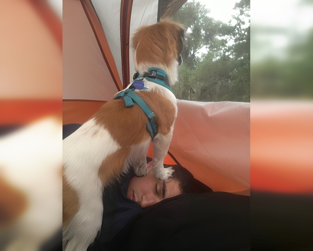 Outdoor Outtakes: Camping Mishaps and Mirth