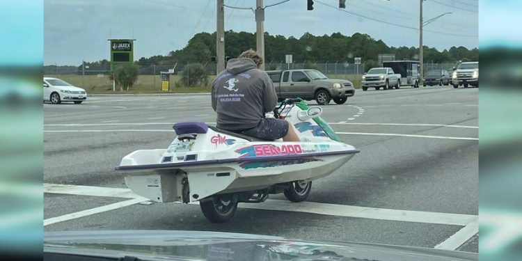 Roadside Roars: When the Journey Gets Hilarious